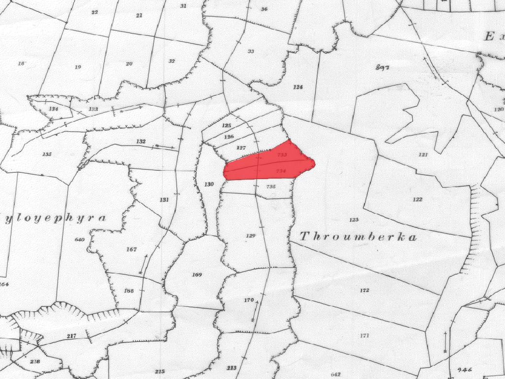 Agricultural Fields (2 units) - Ergates, Nicosia image 3