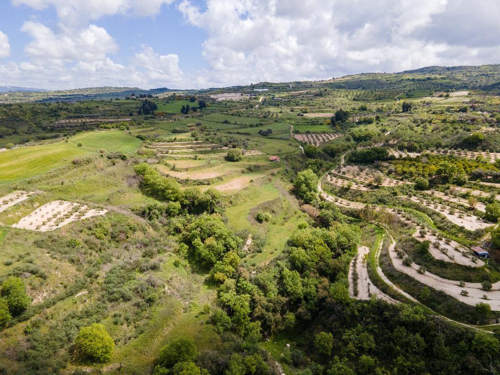 Agricultural Fields (2 units) - Theletra, Paphos