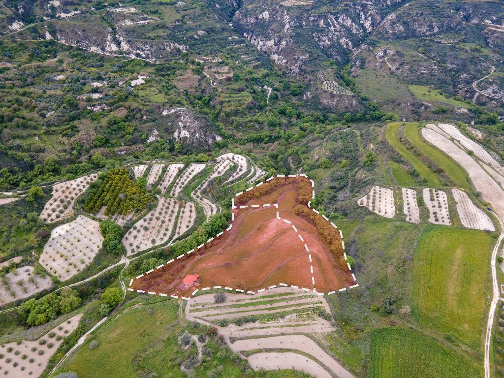 Agricultural Fields (2 units) - Theletra, Paphos image 4
