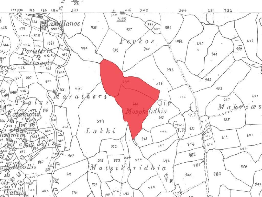 Agricultural Fields (2 units) - Theletra, Paphos image 7