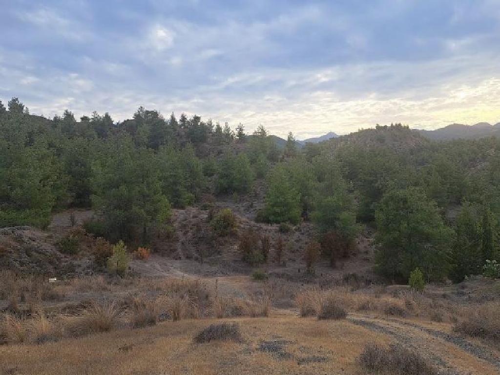 Agricultural field - Kampia, Nicosia