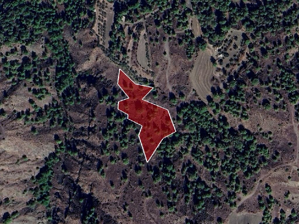 Agricultural field - Kampia, Nicosia image 2