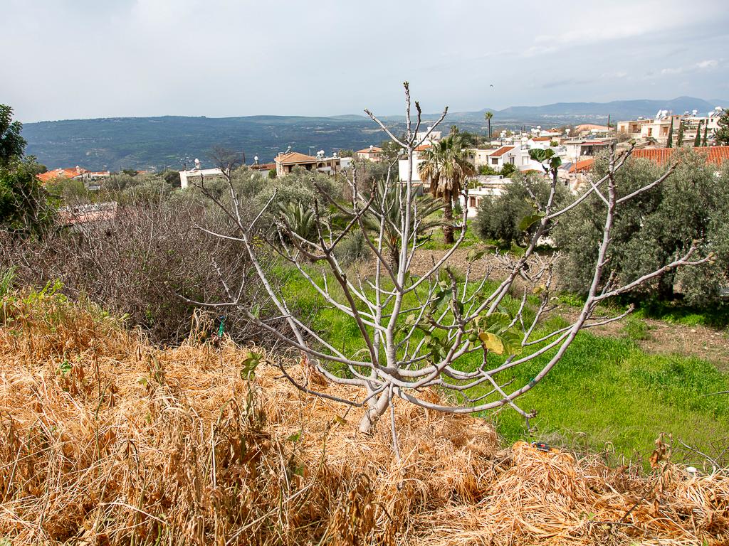 Residential Field - Peristerona, Paphos image 6