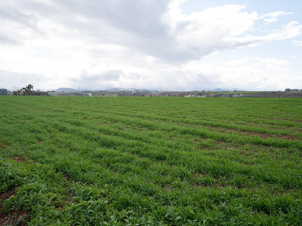 Residential Field - Palaiometocho, Nicosia image 6