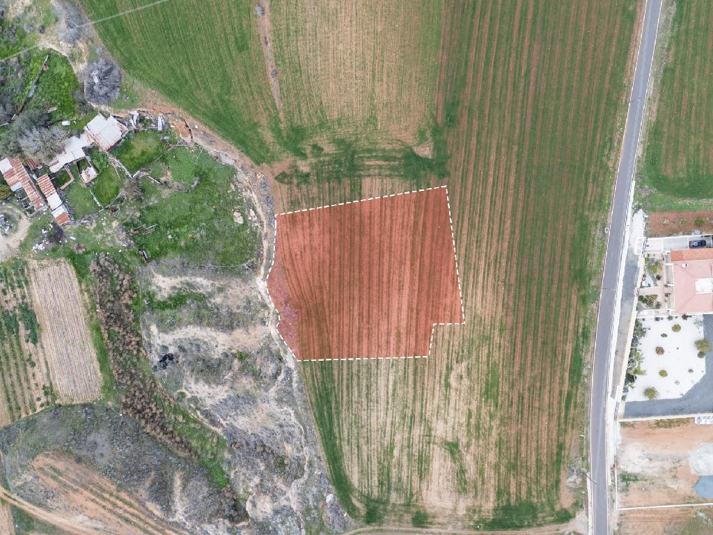 Residential Field - Palaiometocho, Nicosia