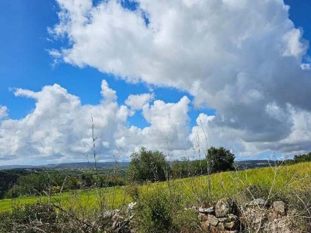 Agricultural Fields (2 units) - Thrinia, Paphos image 6