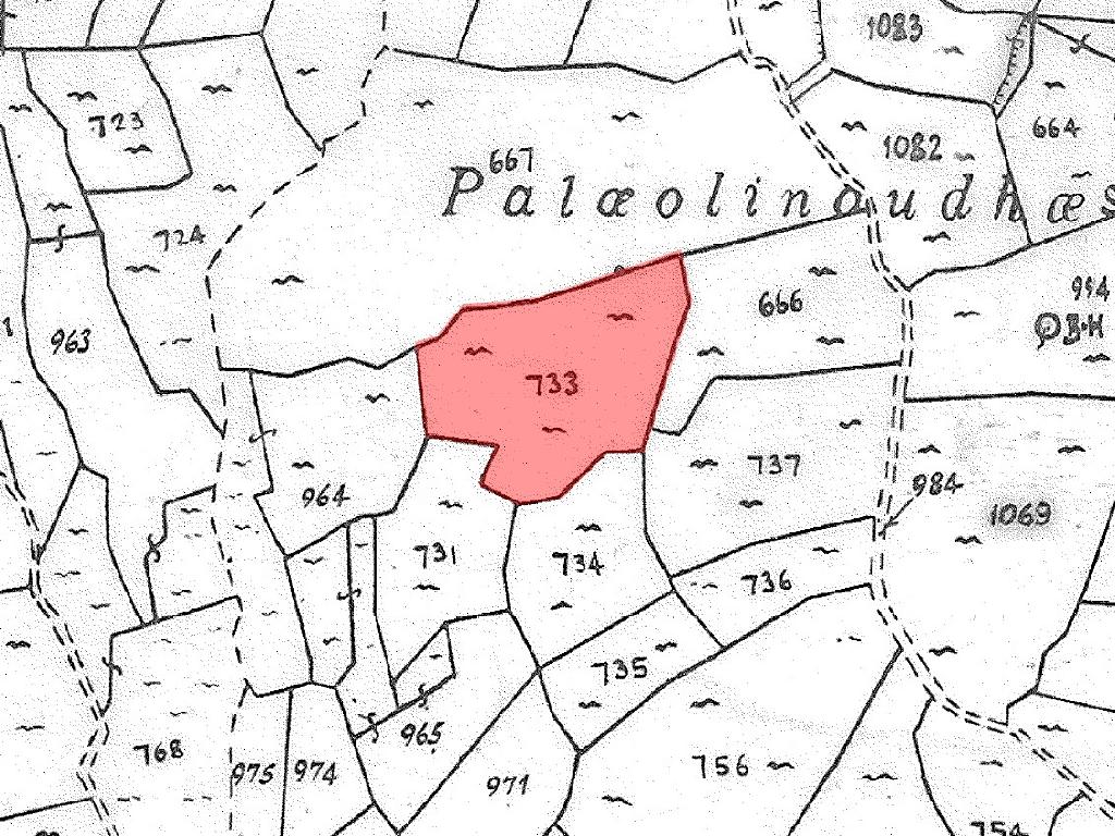 Agricultural Field - Koilani, Limassol image 3