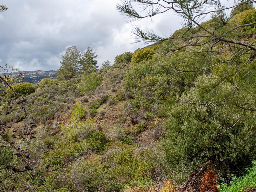 Residential Field - Mandria, Limassol image 4