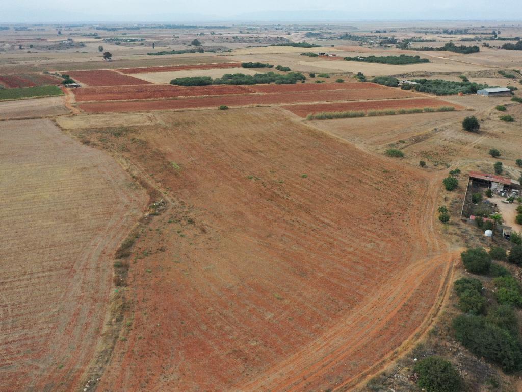 Agricultural Fields (5 units) - Avgorou, Famagusta image 3