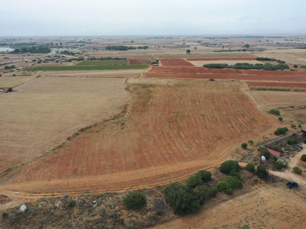 Agricultural Fields (5 units) - Avgorou, Famagusta image 4