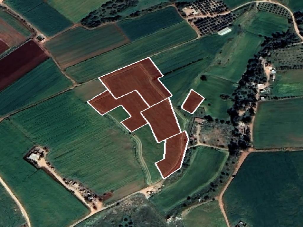 Agricultural Fields (5 units) - Avgorou, Famagusta image 5