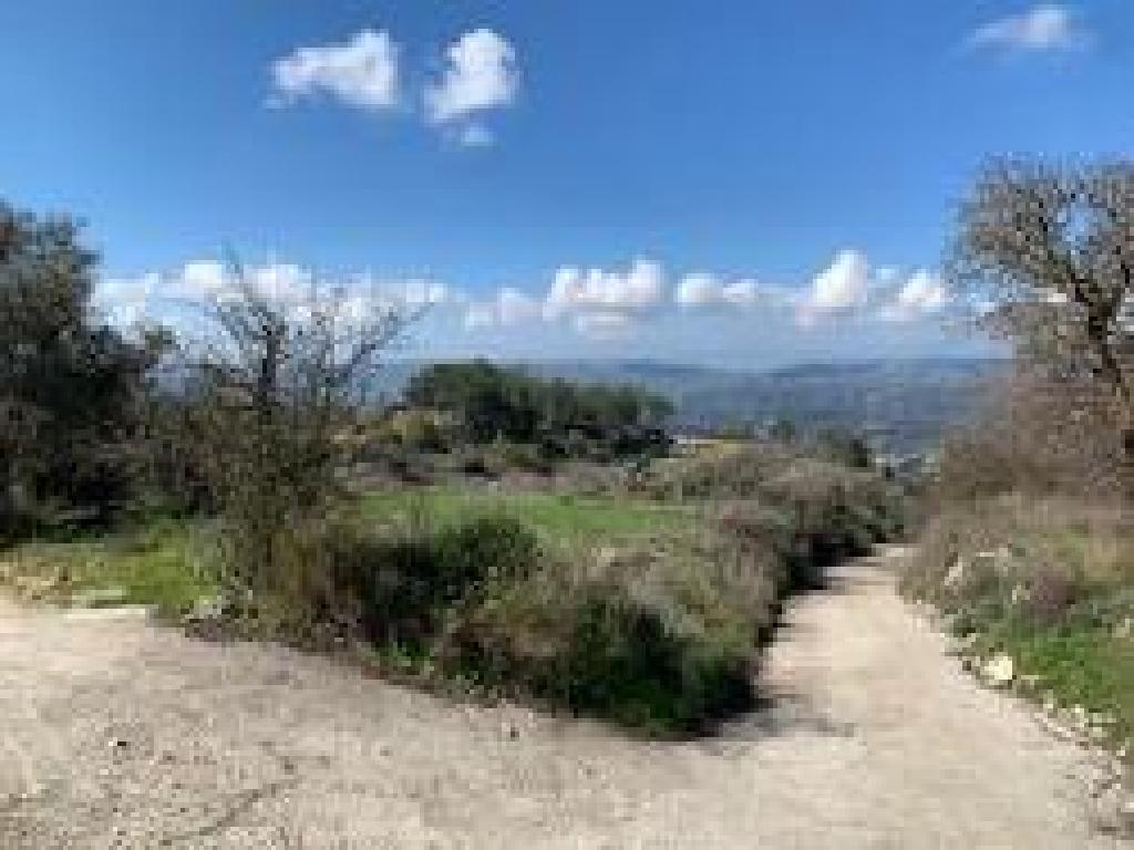 Agricultural Field - Statos – Agios Fotios, Paphos