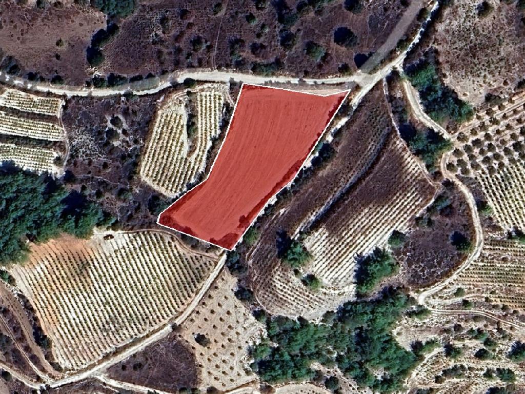 Agricultural Field - Statos – Agios Fotios, Paphos image 2