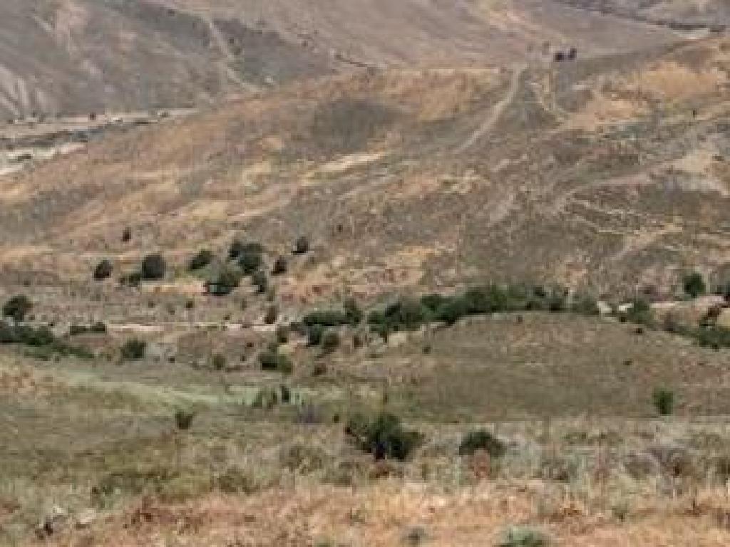 Agricultural Field - Salamiou, Paphos