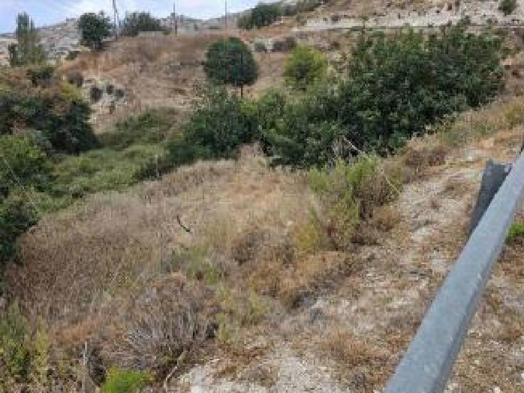 Residential Field - Akoursos, Paphos