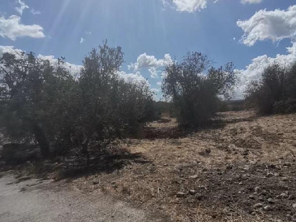 Agricultural Field - Choli, Paphos