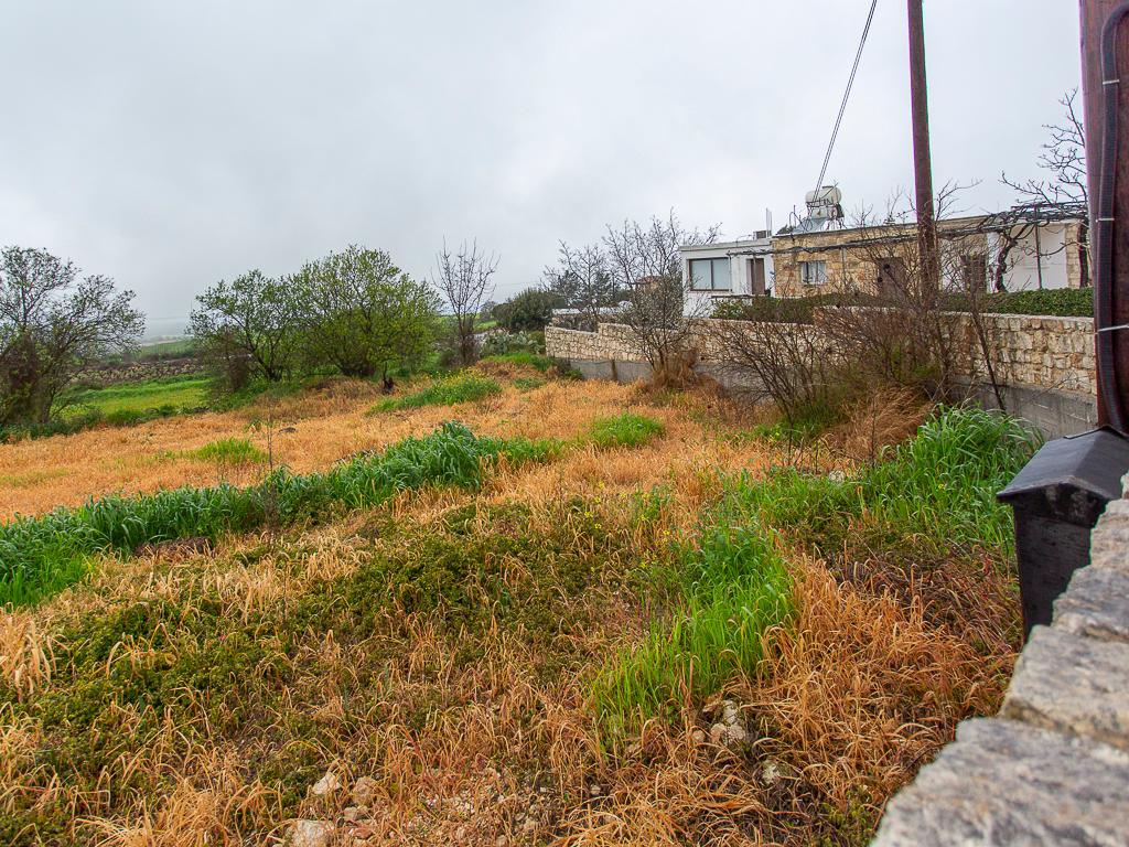 Residential Field - Kathikas, Paphos image 5