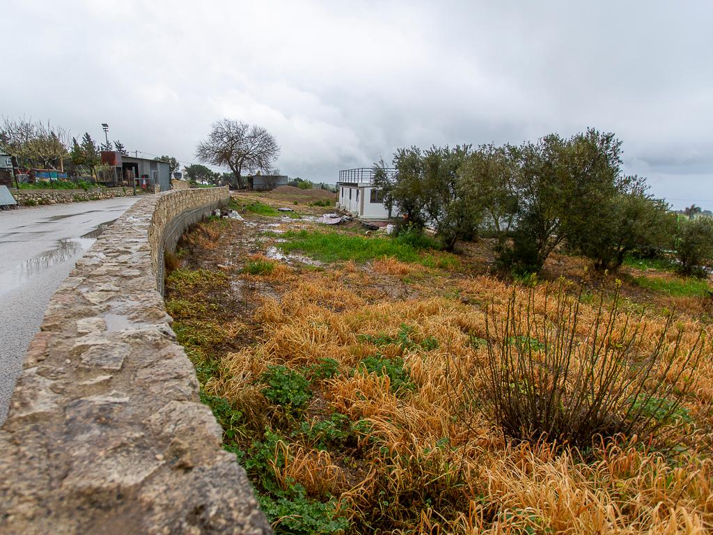 Residential Field - Kathikas, Paphos image 6