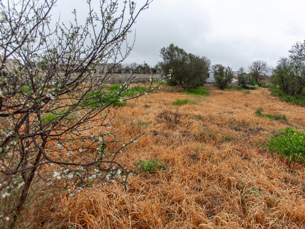 Residential Field - Kathikas, Paphos image 2