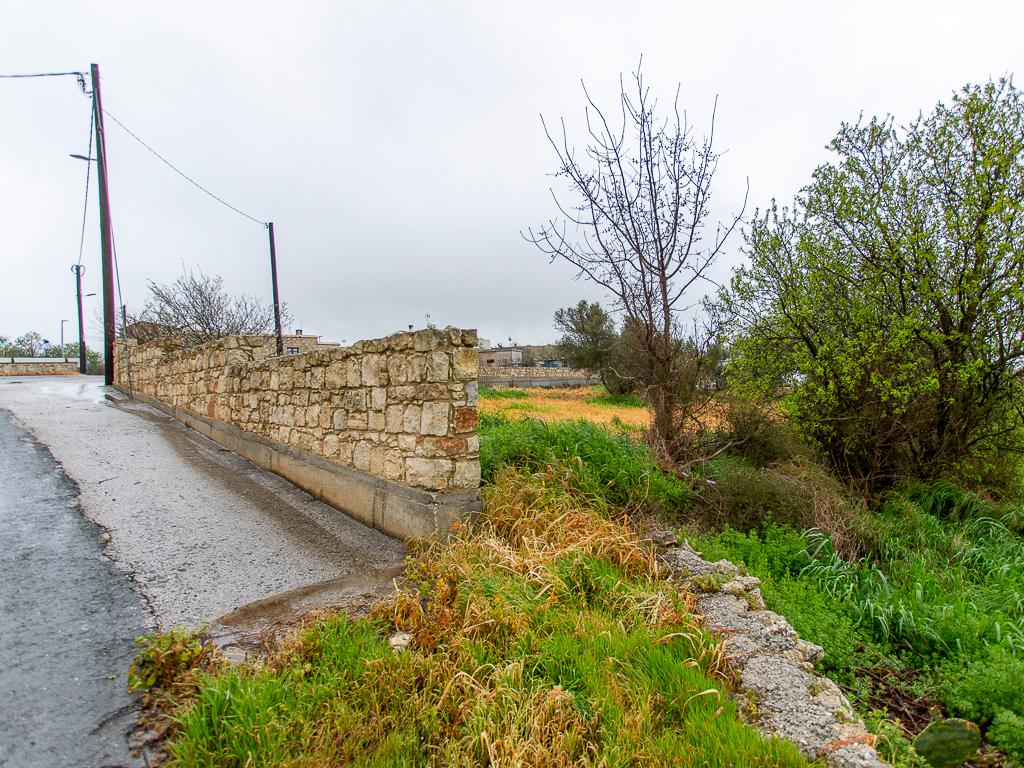 Residential Field - Kathikas, Paphos image 3