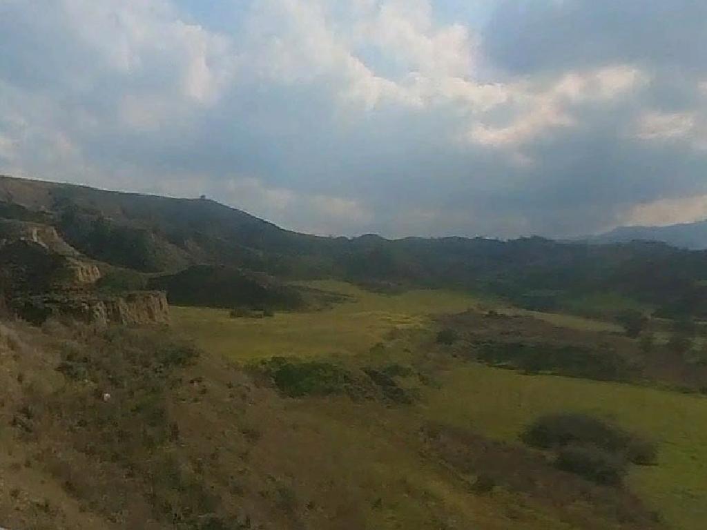 Agricultural Field - Arediou, Nicosia