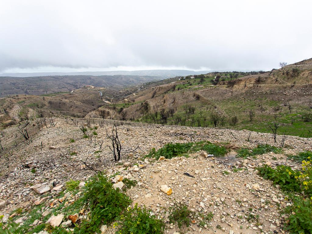Agricultural Fields (3 units) - Koilani, Limassol
