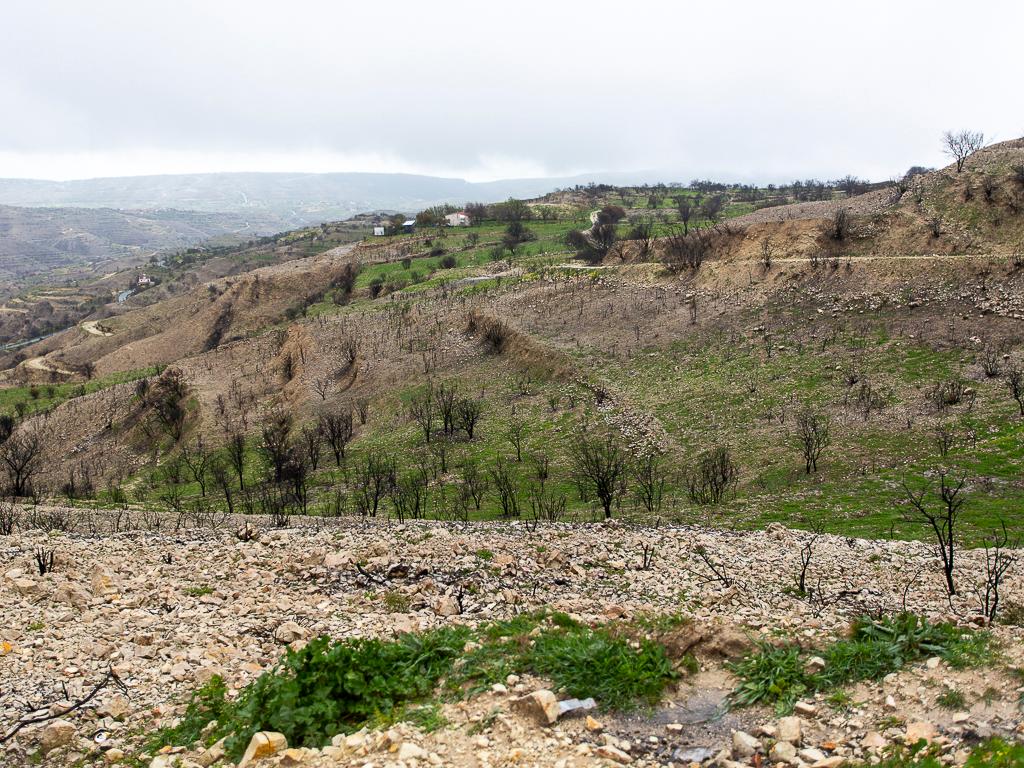 Agricultural Fields (3 units) - Koilani, Limassol image 3