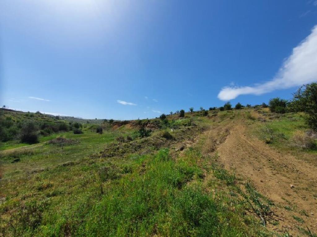 Agricultural Field - Agrokipia, Nicosia