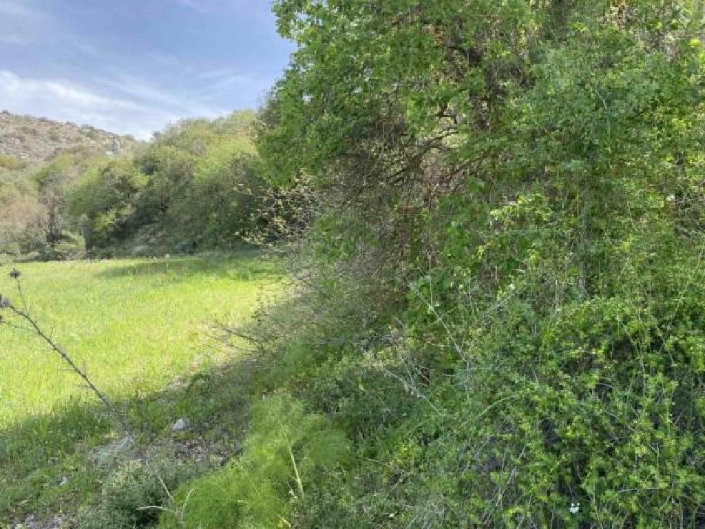 Agricultural Field - Peristerona, Paphos