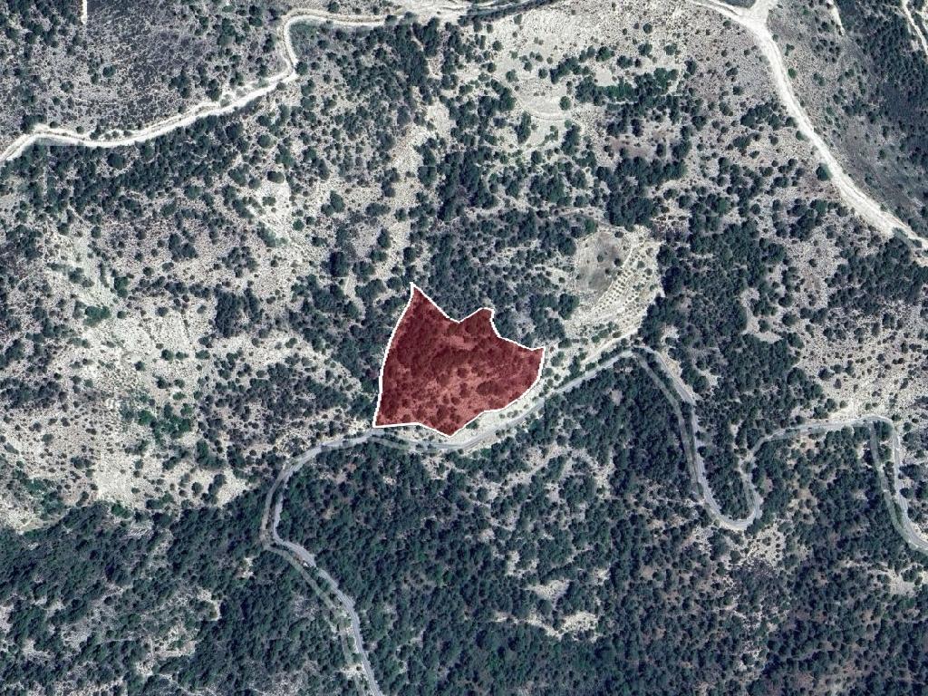 Field - Arminou, Paphos image 2