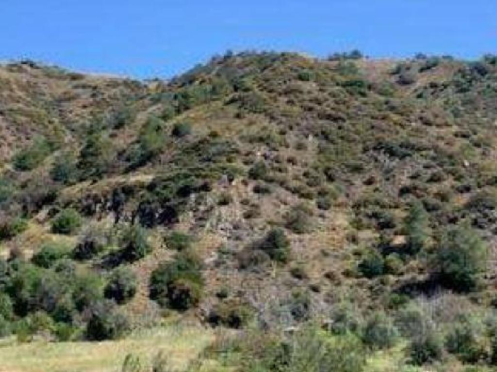 Field - Pomos, Paphos