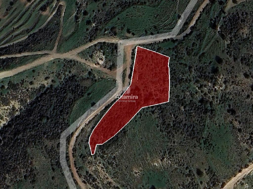 Agricultural Field - Ineia, Paphos image 2