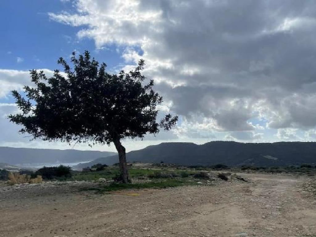 Agricultural Field - Agios Georgios, Limassol image 6