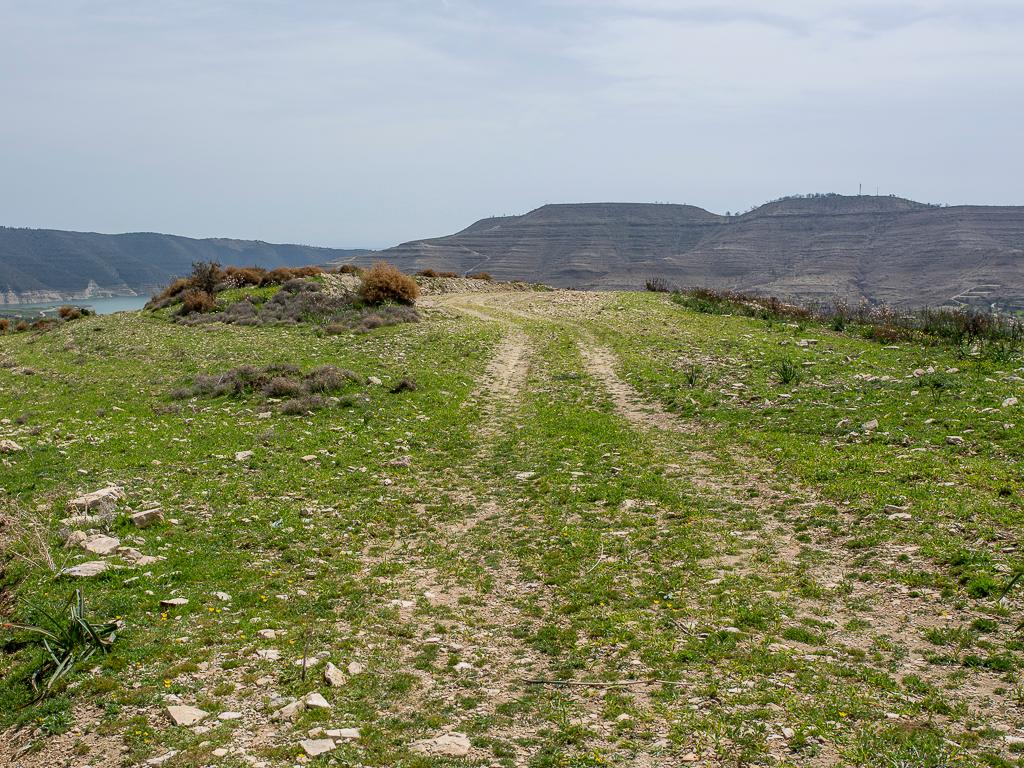 Agricultural Field - Agios Georgios, Limassol