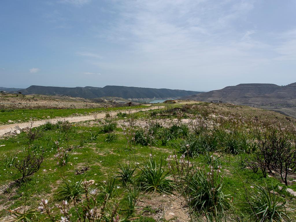 Agricultural Field - Agios Georgios, Limassol image 2
