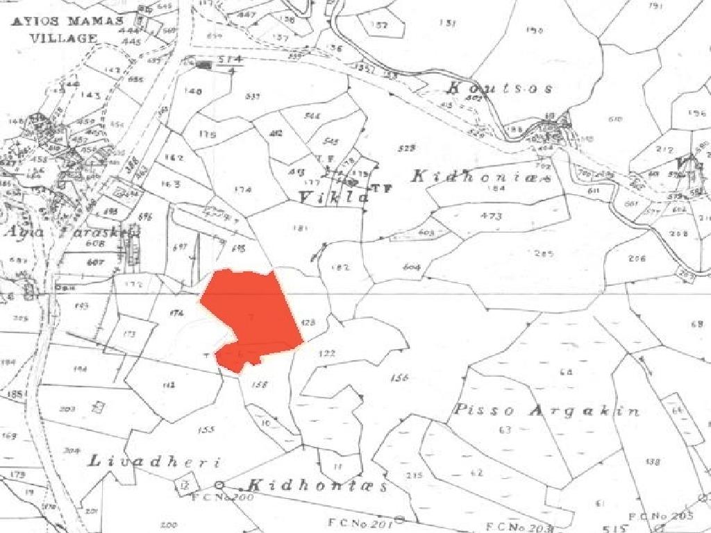 Mixed-zone Field - Agios Mamas, Limassol image 9