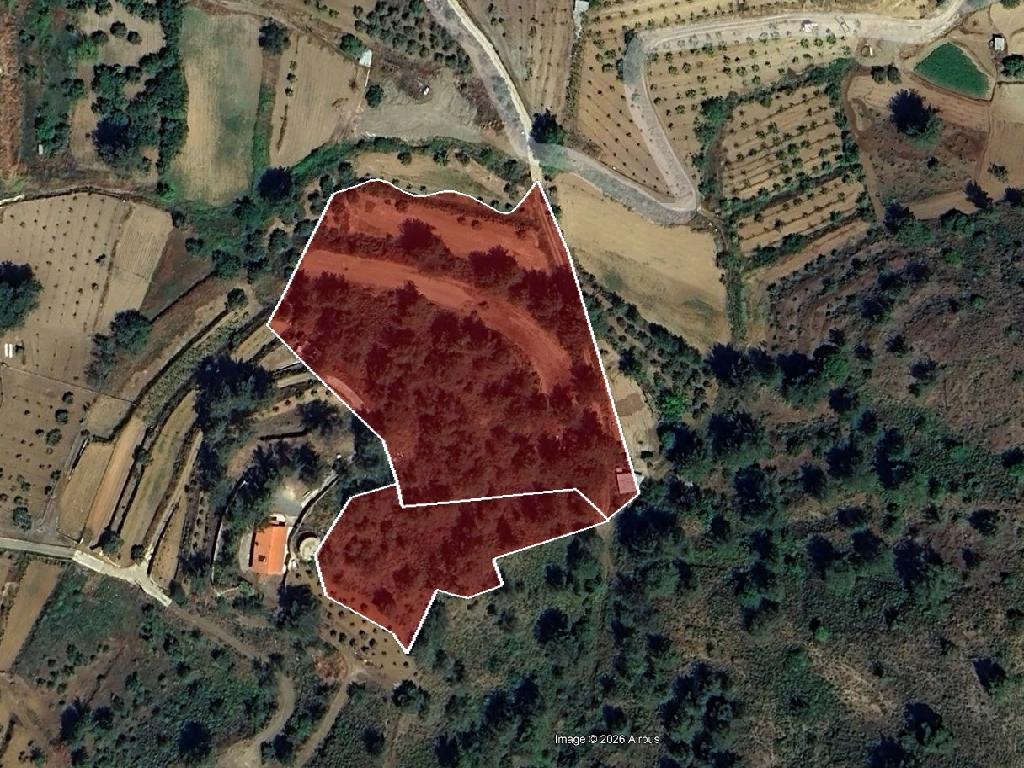 Mixed-zone Field - Agios Mamas, Limassol image 8