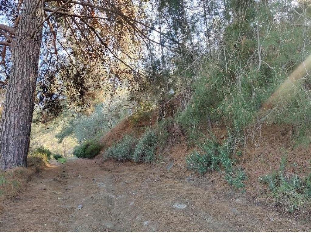 Mixed-zone Field - Agios Mamas, Limassol image 5