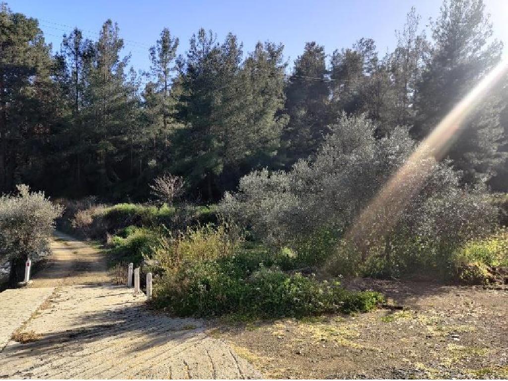 Mixed-zone Field - Agios Mamas, Limassol image 4