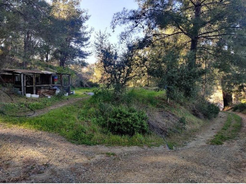 Mixed-zone Field - Agios Mamas, Limassol image 6