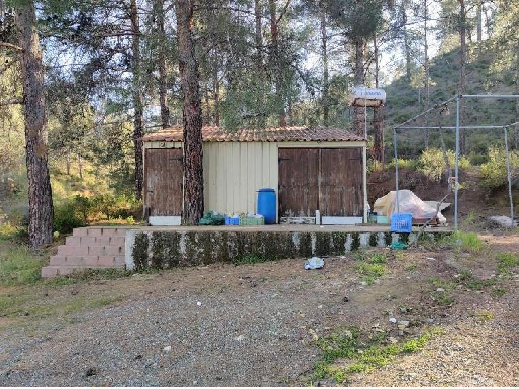 Mixed-zone Field - Agios Mamas, Limassol image 7