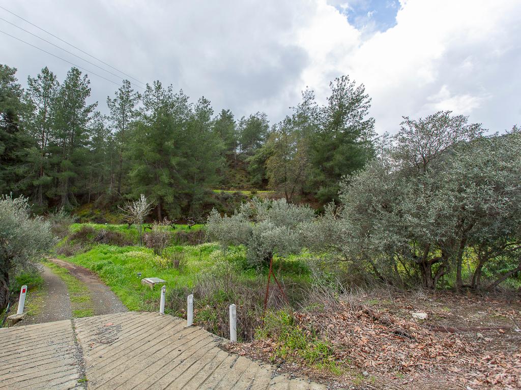 Mixed-zone Field - Agios Mamas, Limassol image 2