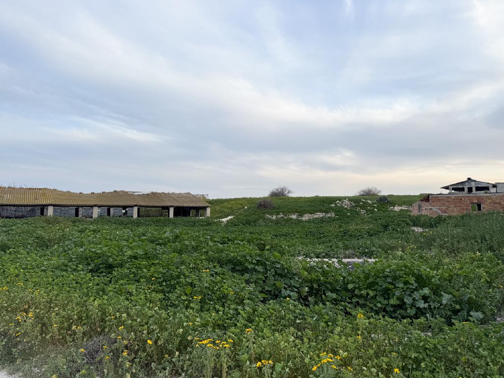 Livestock Field - Aradippou, Larnaca image 3