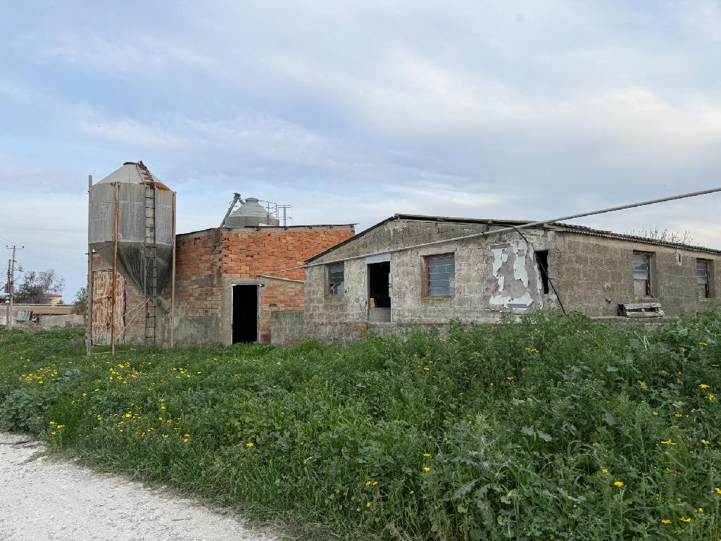 Livestock Field - Aradippou, Larnaca image 5