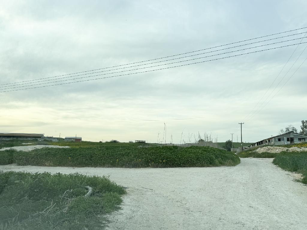 Livestock Field - Aradippou, Larnaca image 6