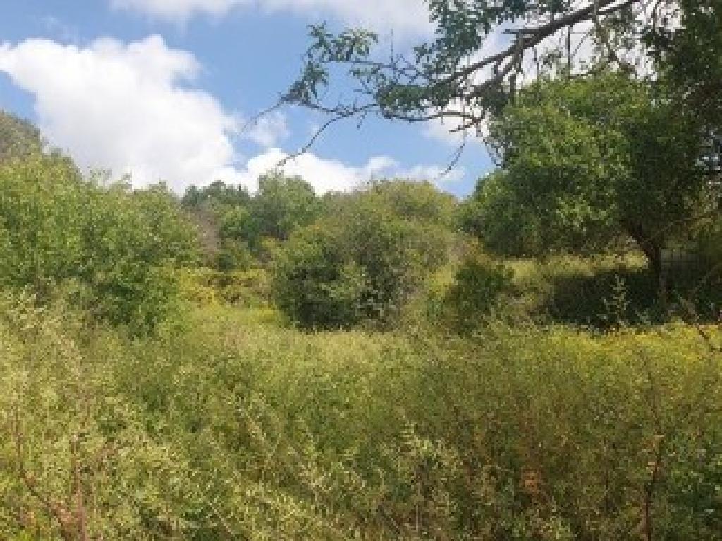 Residential Fields (2 units) - Drymou, Paphos