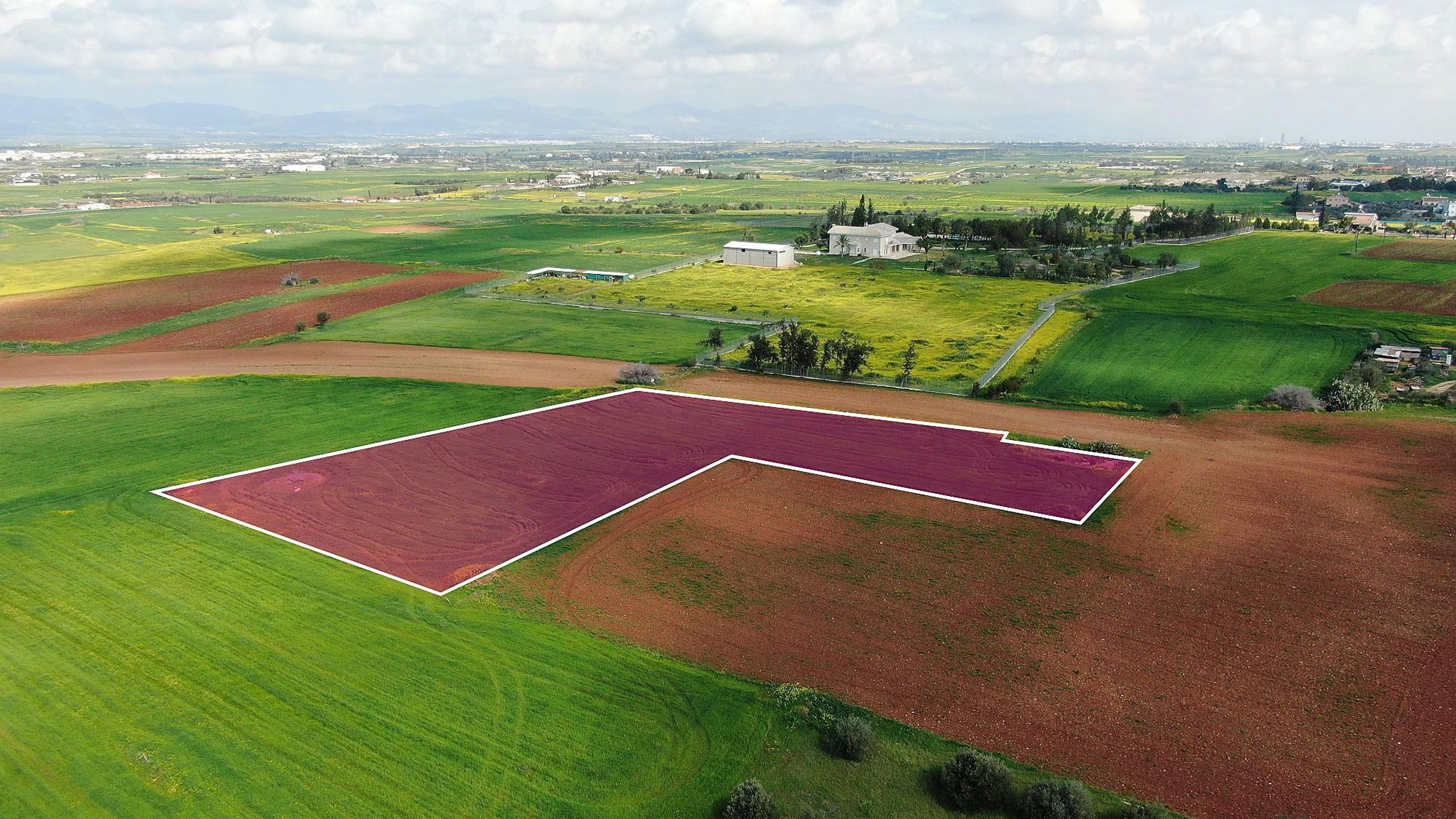 Residential Field - Agioi Trimithias, Nicosia