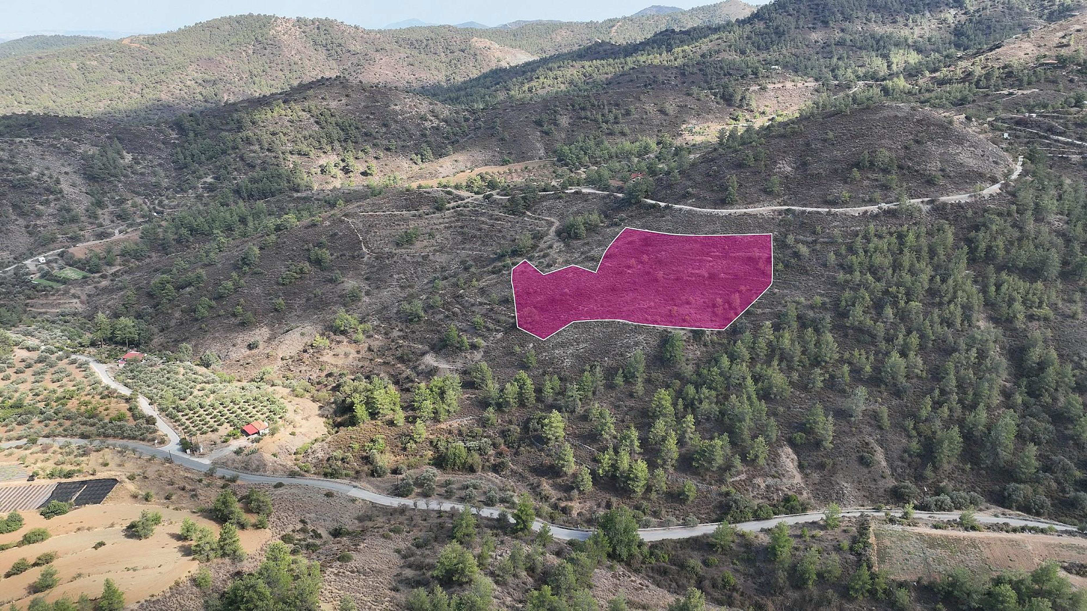 Residential Field - Klirou, Nicosia image 4