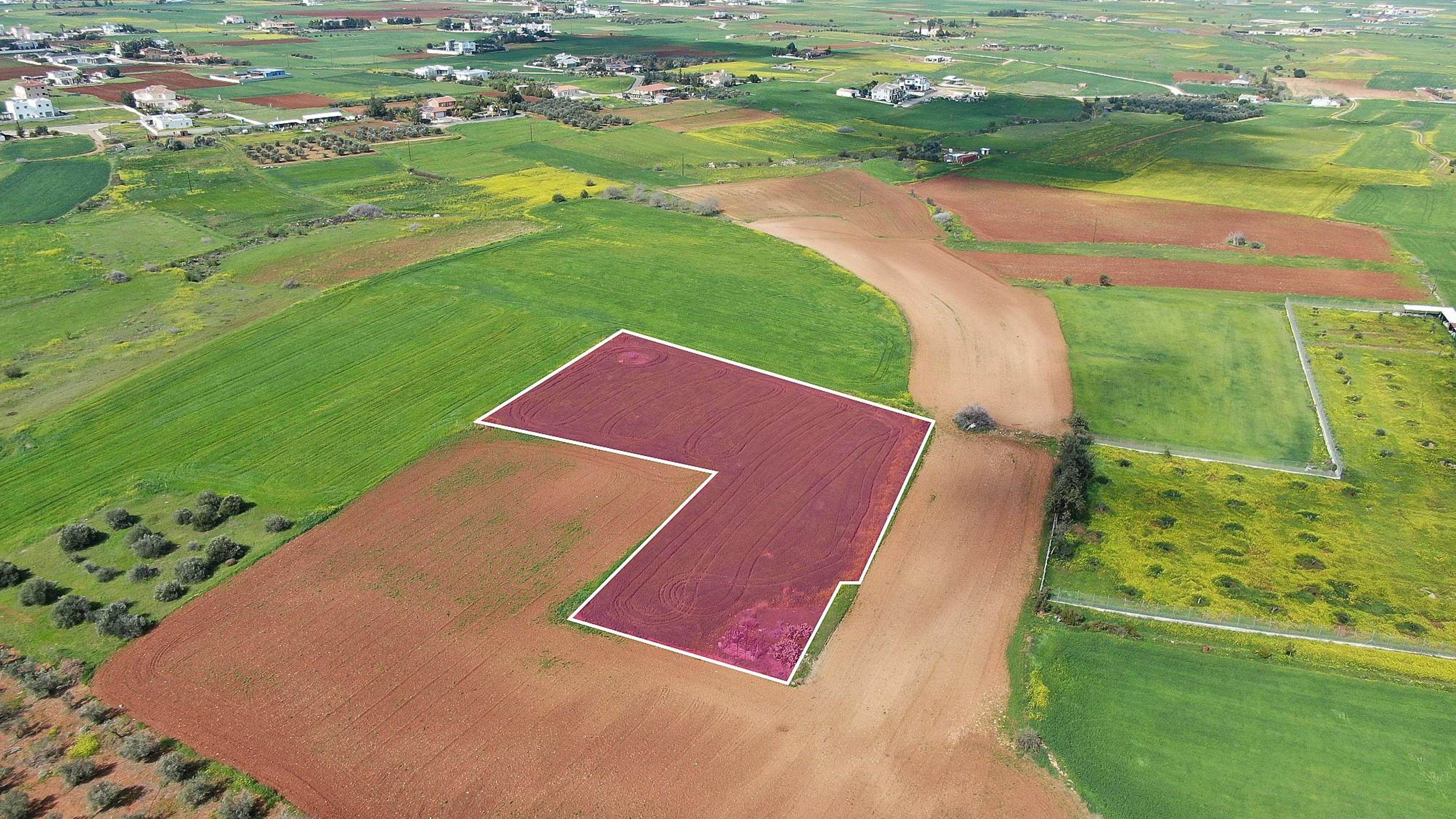 Residential Field - Agioi Trimithias, Nicosia image 3