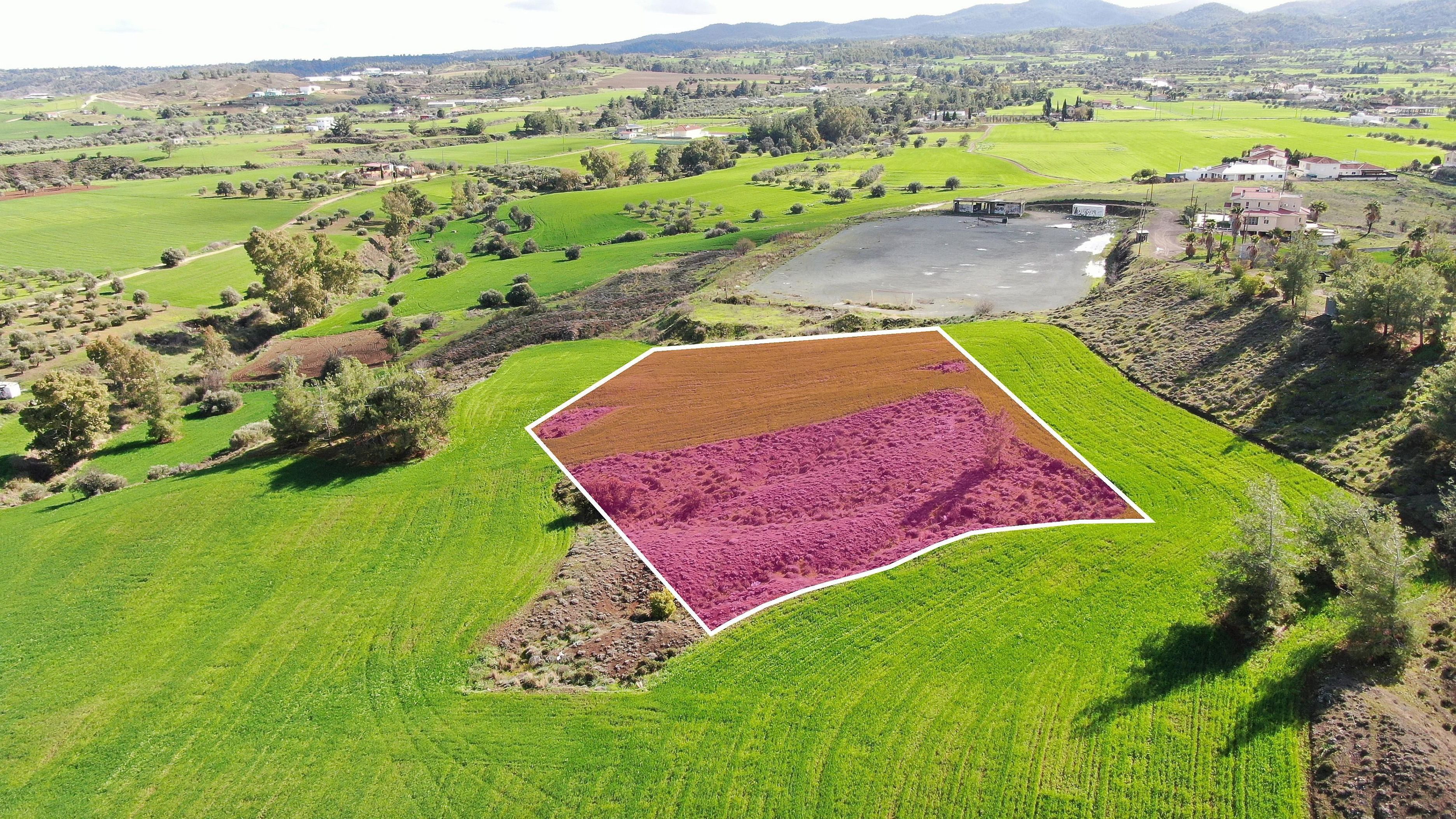 Residential Field - Klirou, Nicosia image 3